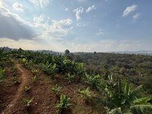 Load image into Gallery viewer, Ethiopian Beshasha/Badeyi
